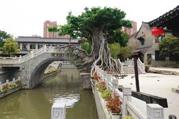 江蘇鹽城水泥仿真樹(shù)制作案例-鹽水鎮水街天水橋景觀(guān)提升工程