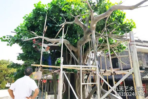 江蘇鹽城水泥仿真樹(shù)制作-樹(shù)冠安裝現場(chǎng)