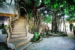 水泥仿真樹(shù)被業(yè)內稱(chēng)作假樹(shù)或塑樹(shù)