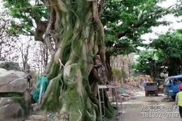 大型塑樹(shù)假樹(shù)榕樹(shù)景觀(guān)